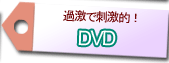 夜のお供に!! DVD