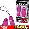 yPSUO~ʌzCX[^[@mdnllP_聄iij